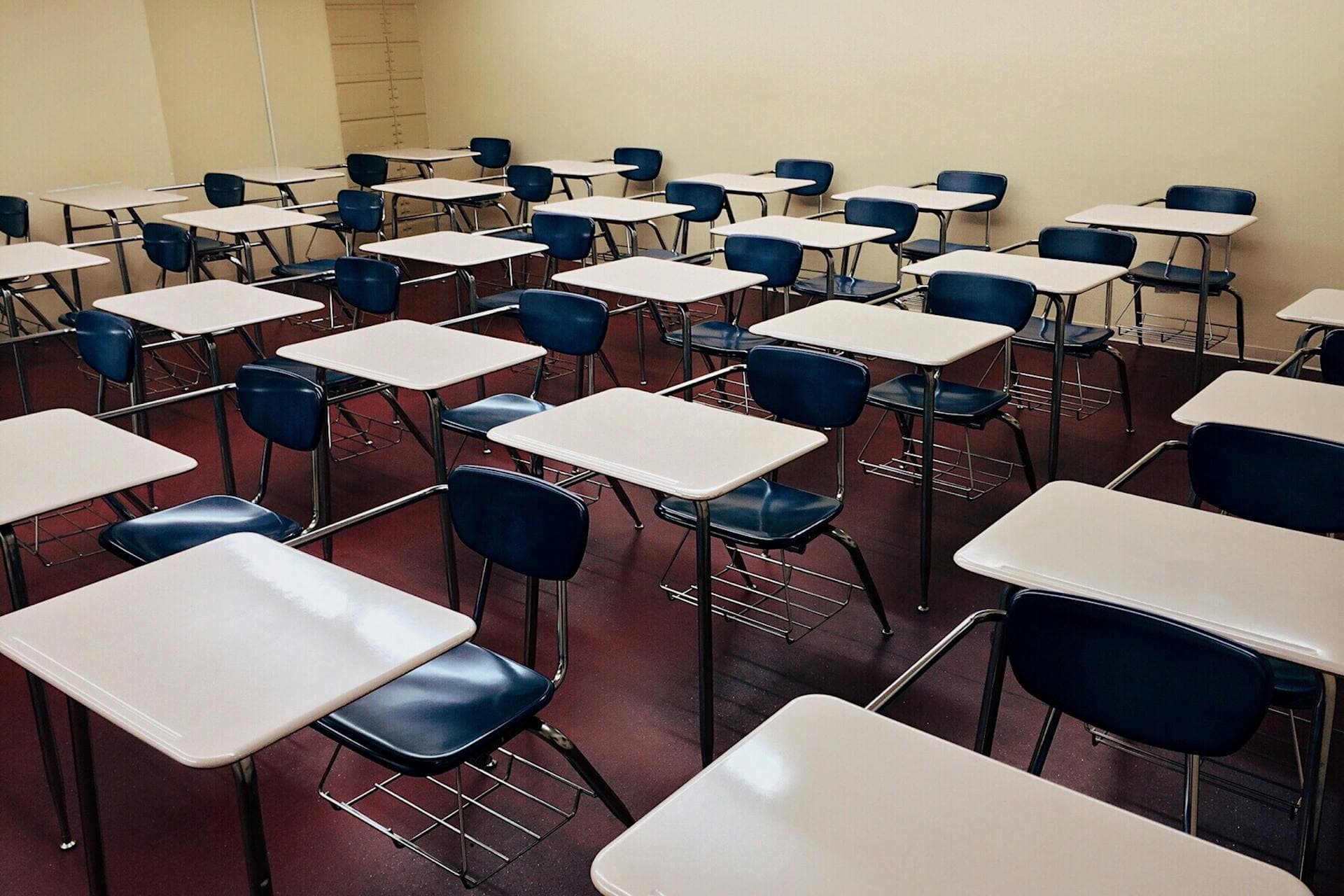 School website development